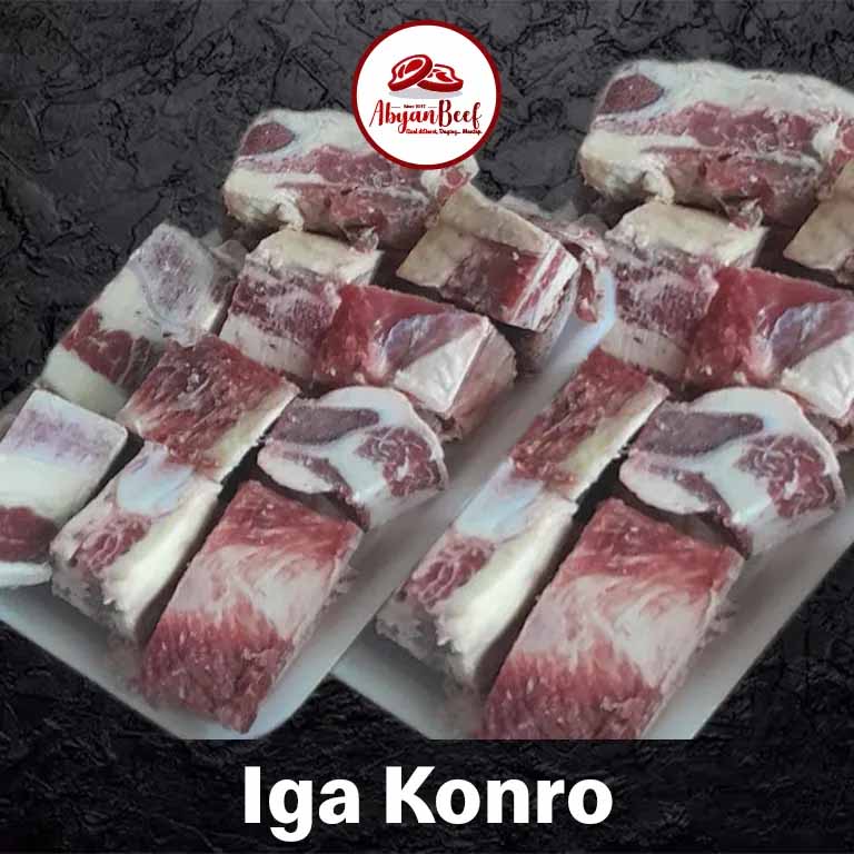 Iga Konro